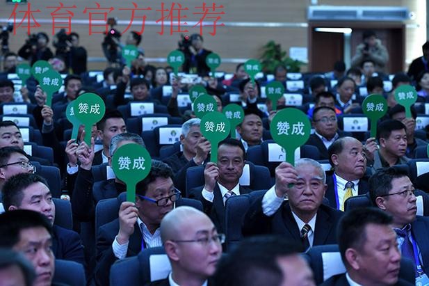 第十届中国足球协会第三次会员大会17日武汉开幕 第十届中国足球协会第三次会员大会17日武汉开幕